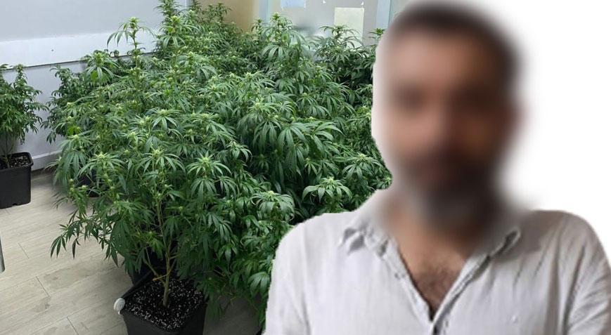 İstanbul’da şok baskın! Kiraladığı evi zehir tarlasına çevirdi