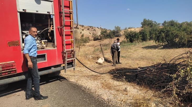 Siirt'teki yangın ormana sıçramadan söndürüldü