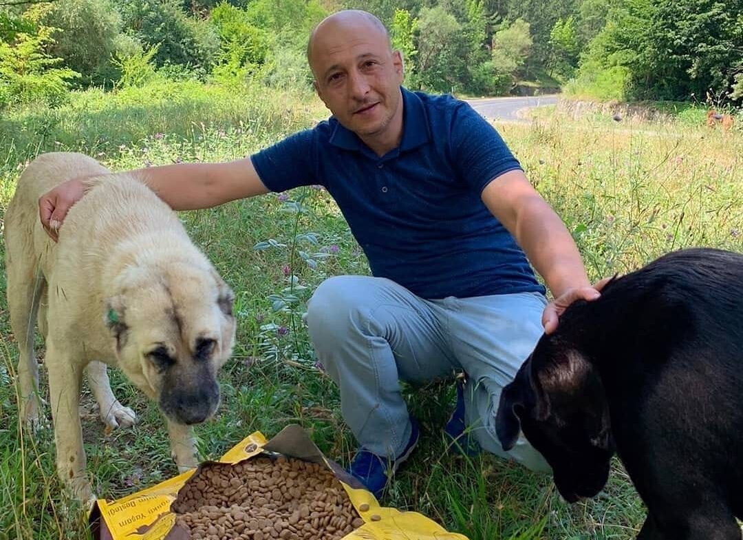 SAHİPSİZ PATİLER DERNEĞİ BURSA