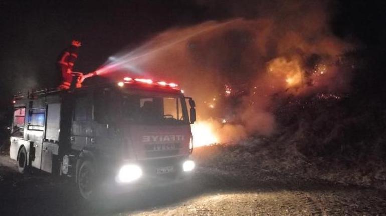 Edirne'de ağaçlık alandaki yangın kısa sürede söndürüldü