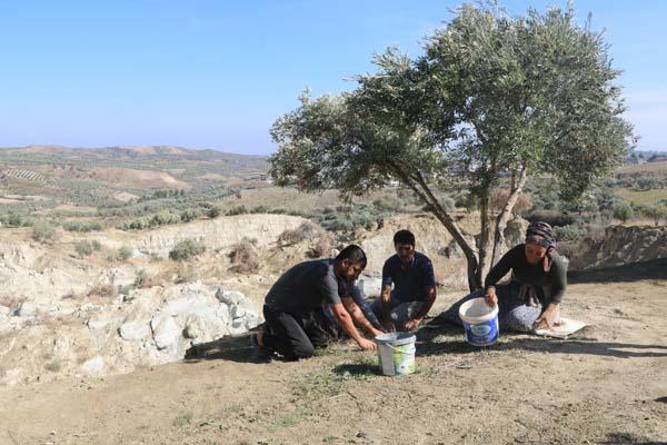 Fay ikiye böldü, tedirgin eden hasat başladı: Korkuyorum, aşağılık görünmüyor