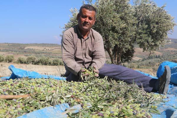 Fay ikiye böldü, tedirgin eden hasat başladı: Korkuyorum, aşağılık görünmüyor