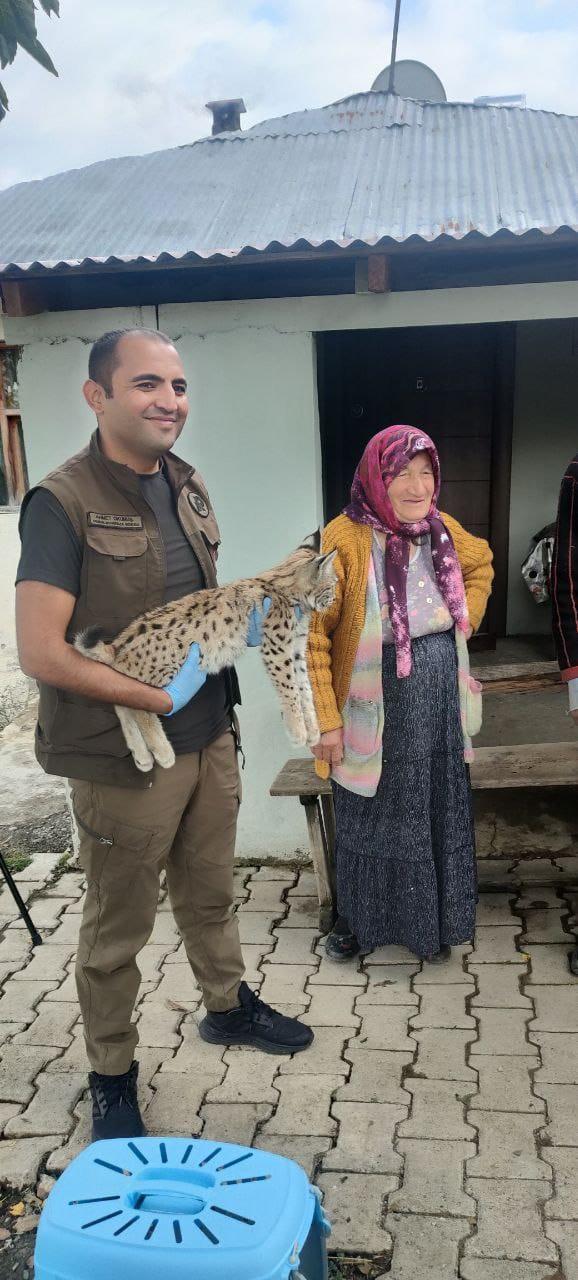 Ormanda karşılaştığı vaşak yavrusu, peşinden köye kadar geldi