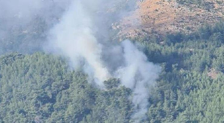 Muğla’da orman yangını! Ekipler müdahale ediyor