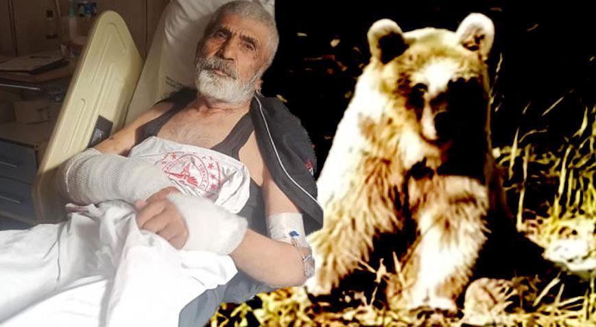 Artvin’de ayı dehşeti! ‘Ağzına elimi soktum dilini tuttup, zaman kazandım’