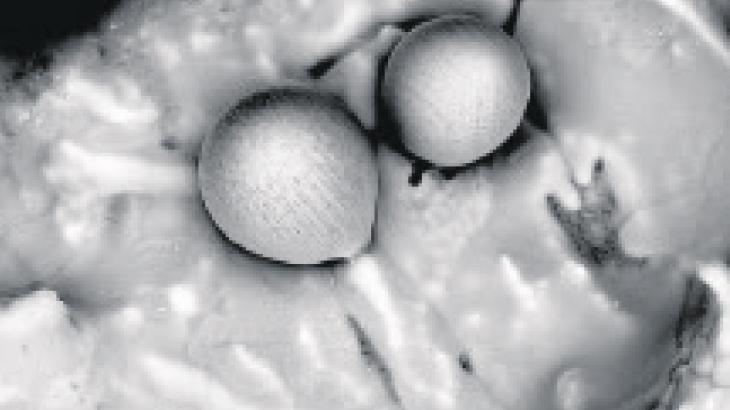 Pasifik’te uzaylı izi