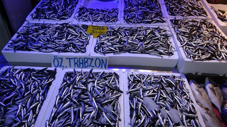 Hamside bereketli sezon