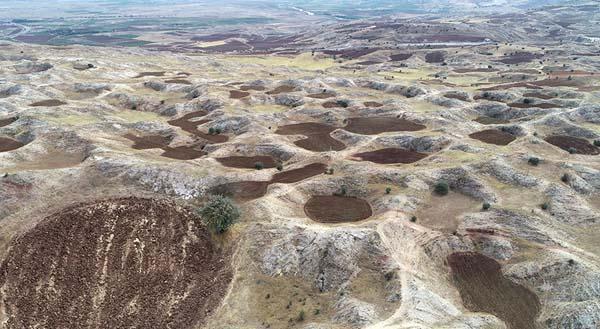 Sivas ve çevresinde yaygın olarak görülüyor! Kent merkezine 15 kilometre uzaklıkta