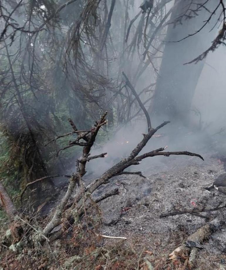 Artvin'den yıldırım düşmesi sonucu orman yangını çıktı