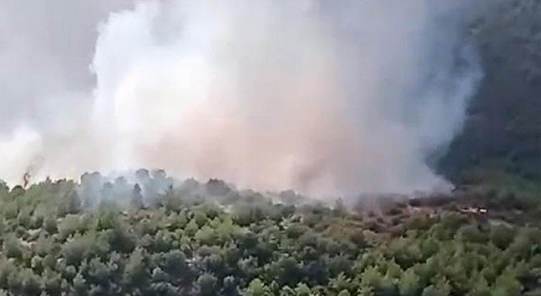 İzmir'de orman yangını! Havadan ve karadan müdahale ediliyor