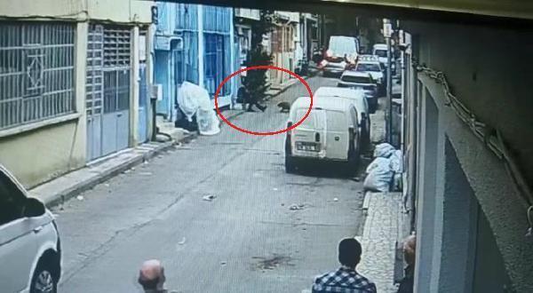 Bursa'da 'pitbull'lu saldırı: Bizde köpeğe dokunmak günah