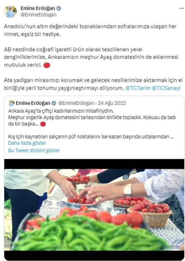 Emine Erdoğan'dan AB tescili alan Ayaş domatesi değerlendirmesi