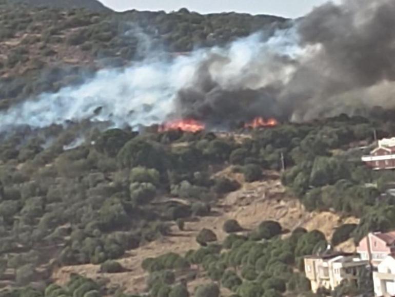 İzmir'de yerleşim yerlerine yakın alanda orman yangını çıktı