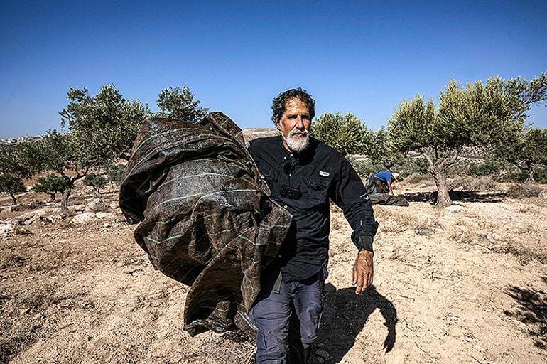Yerleşimcilerin terörürüne karşı çkan İsrailli haham, Filistinlilerin zeytinliğini koruyor!