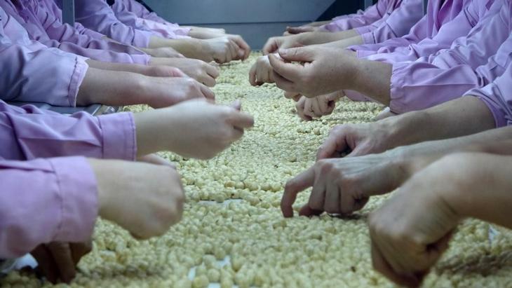 İç fındık ihracatında düşüş