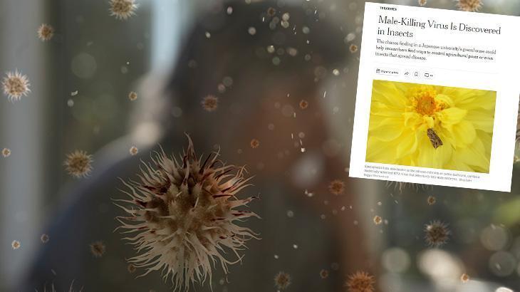 Sadece erkekleri öldüren virüs keşfedildi! İlaçlar etki etmiyor