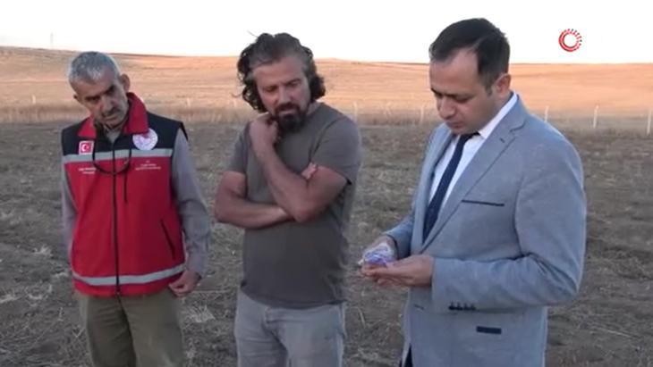 Bankacı olarak emekli olup bu işe girdi: 600 bin TL’lik safran!