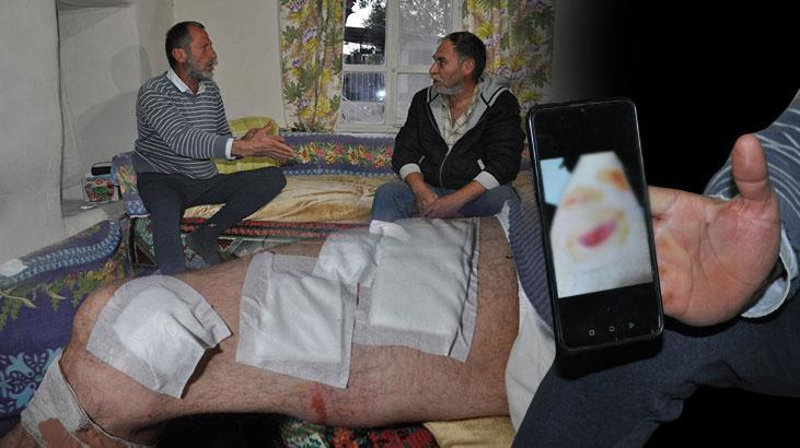 Yaklaşık 500 kilo vardı, beni devirdi, ısırdı ve parçalamaya başladı