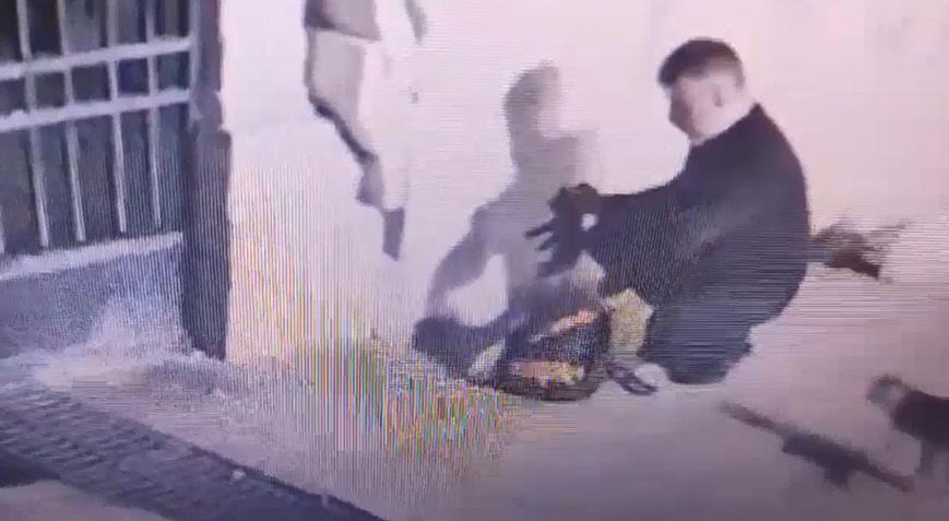 Kedileri toplayıp çantasına koyan şüphelinin evinden kan donduran detay çıktı