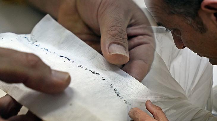 Profesörden uyarı: ‘Tekrar insanlara saldırdılar, kan emdiler, ve yumurtladılar’