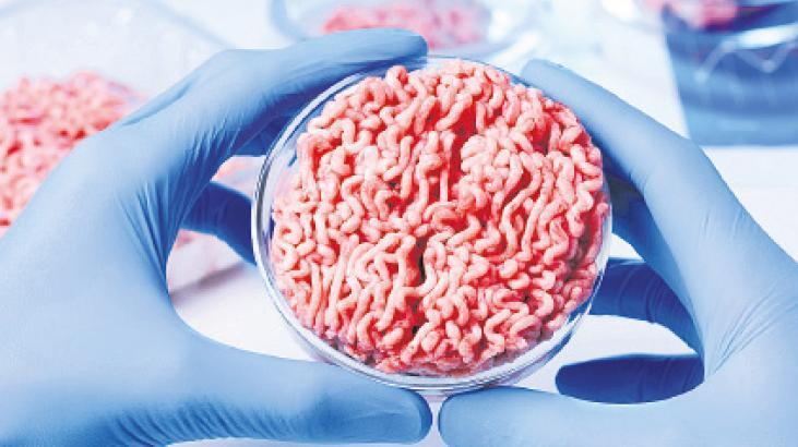 İtalya, laboratuvarda et üretimini yasakladı