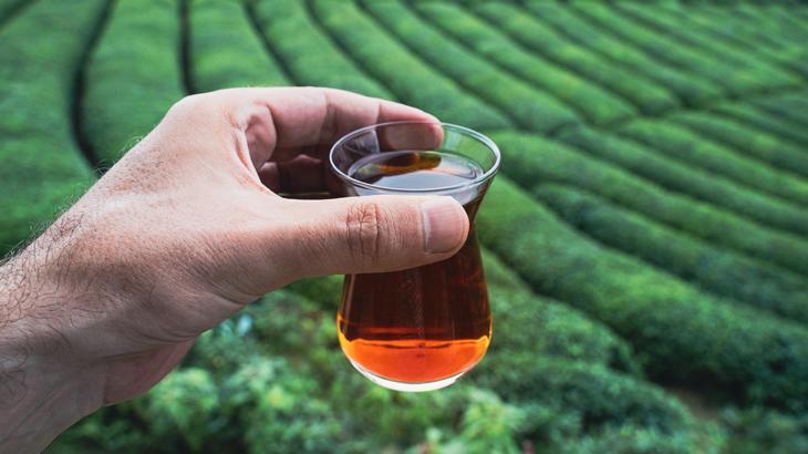 Yaş çaya kilogram başına 30 kuruş fark ödemesi yapılacak