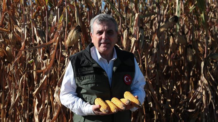 Mısırda yüksel rekolte!