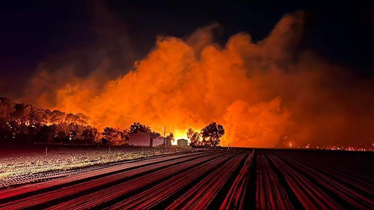 Avustralya’da orman yangını durdurulamıyor, evler kül oldu