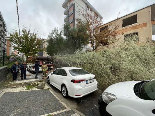 İstanbul’da fırtına etkisi! İBB ekipleri 2 bin 921 ihbara müdahale etti
