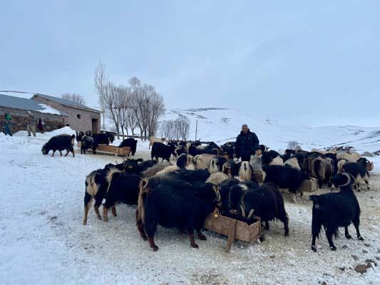 Köyde her şey kara gömüldü! 'Evlerimizi bulmakta zorlanıyoruz'