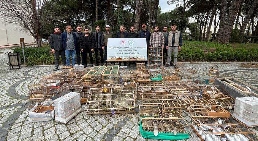 Edirnekapı’da satılan avlanması yasak kuşlara el konuldu