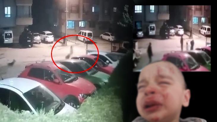 Söpek saldırısından kızını korumak için koşarken kucağındaki çocuğuyla yere düştü