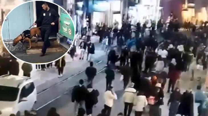 Taksim’de yasaklı ırk köpeği ağızlıksız gezdiren kişiye 66 bin 798 lira ceza