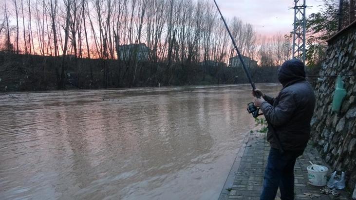 Bartın’da şoke eden görüntü! Asfaltta balık avladı