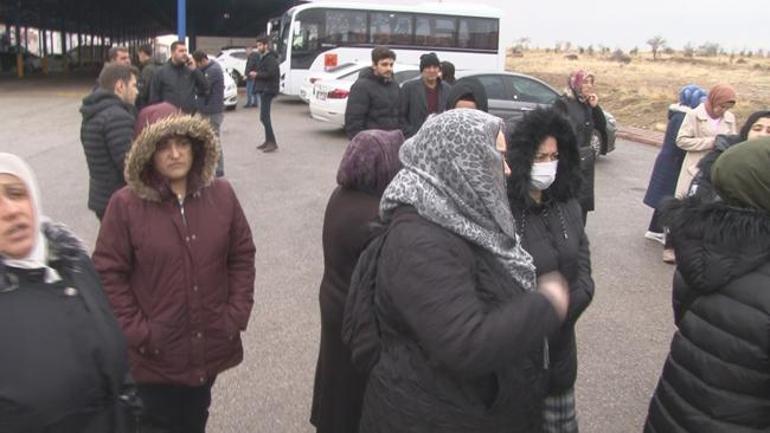 Ankara'da başıboş köpek dehşeti ! Bakan Yerlikaya: Soruşturma başlatıldı