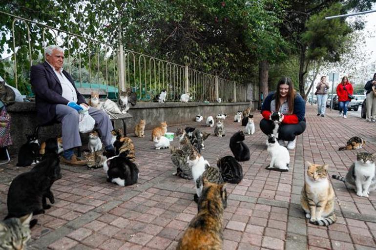 Emekli maaşınla 800 kediyi besliyor: Ben onların babasıyım