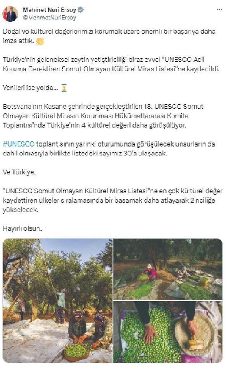 Türkiye'de zeytin yetiştiriciliği UNESCO'ya alındı