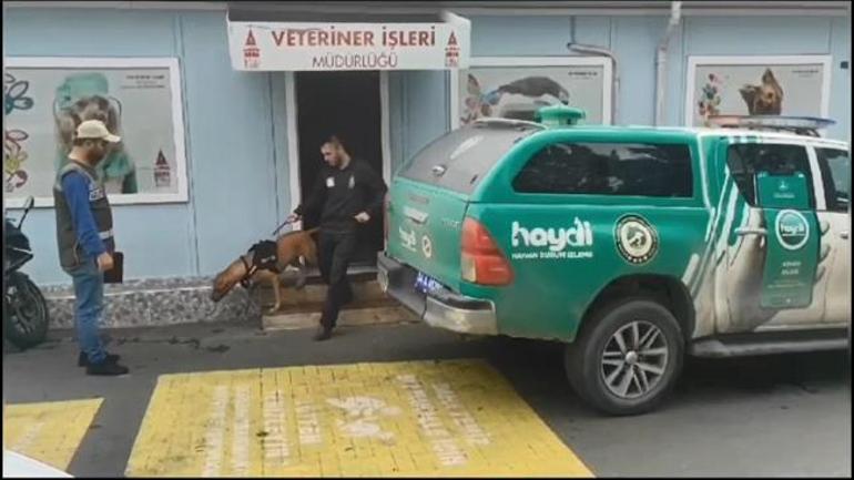 Taksim'de yasaklı ırk köpeği ağızlıksız gezdiren kişiye 66 bin 798 lira ceza