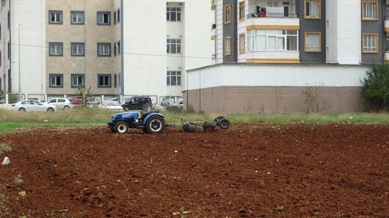 Karşılığında milyonları teklif ediyorlar, vazgeçmiyor: Paradan daha değerli