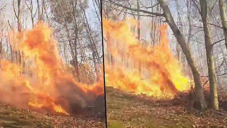 Sakarya’da korkutan yangın