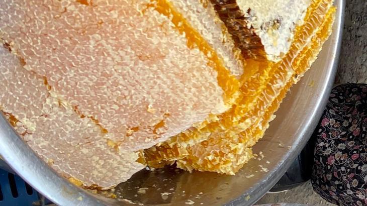 Bal rekoltesi geçen yıla göre düşük kaldı