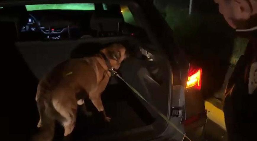 Otomobildeki uyuşturucu taşıyorlardı, Tina’dan kaçamadılar