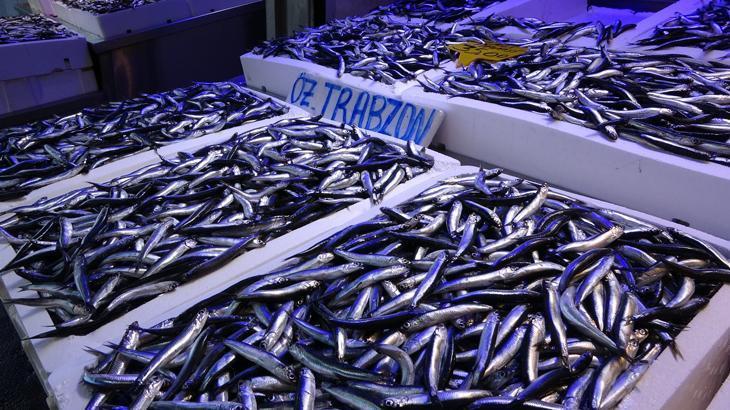 Hamsi ihracatından 25 milyon dolarlık gelir