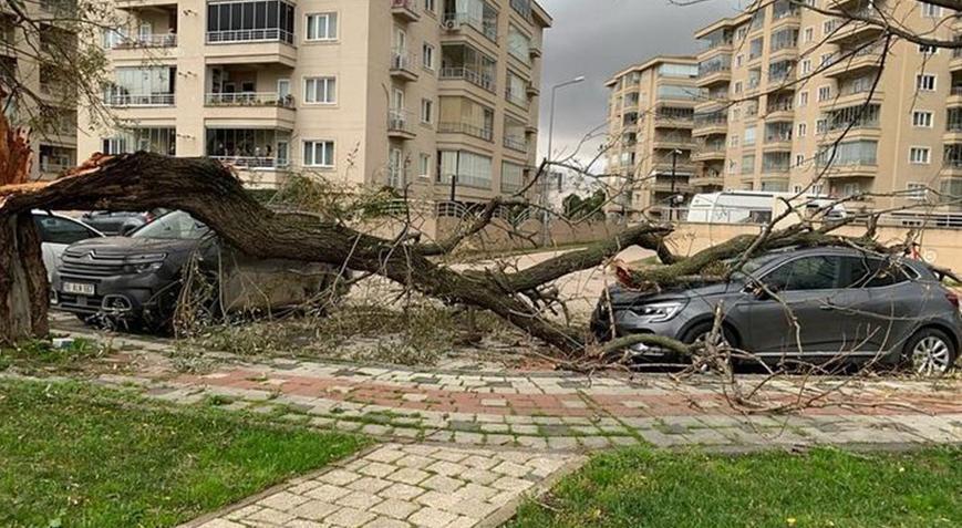 Bursa’da fırtına! Deniz otobüsü seferleri iptal edildi, ağaçlar devrildi