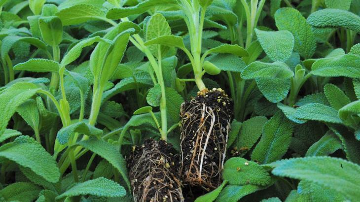 Tarıma 21 milyon liralık destek