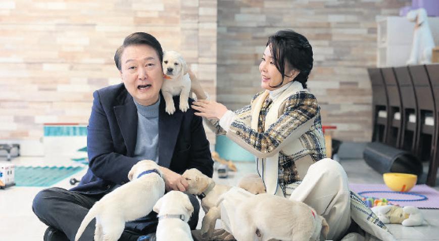 Güney Kore’de köpek eti yasağı