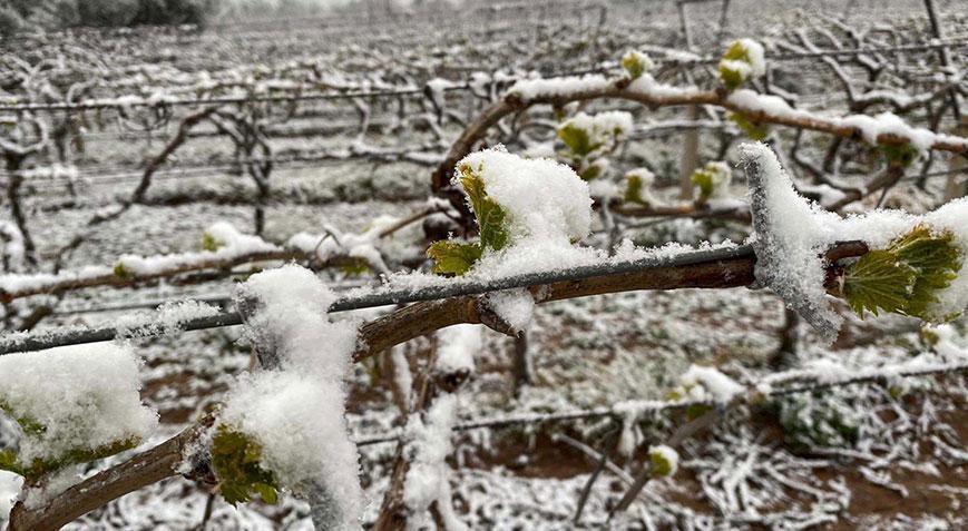 Meteoroloji’den İzmir ve ilçeleri için uyarı geldi! Bu gece geliyor