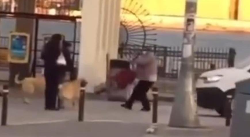 Kadıköy’de dehşet! Yaşlı kadın köpeklerin saldırısına uğradı