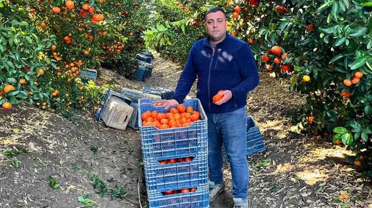 Adana mandalinası dünya mutfağını süslüyor
