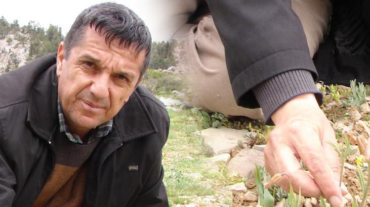 Mersin’de keşfetti, ismi verildi: Fritillaria Nevzatcaglari